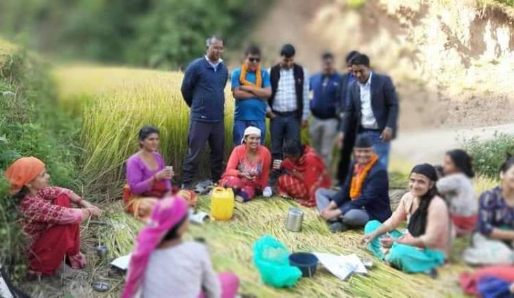 भोट माग्न खेतमै पुगे सुर्य थापा : स्वच्छ छविकाे उमेदवार पाएकाे भन्दै स्थानीयमा उत्साह