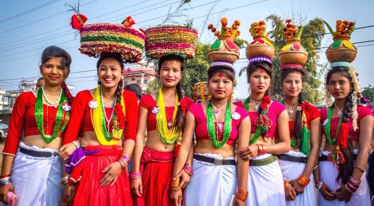  माघी महोत्सव  