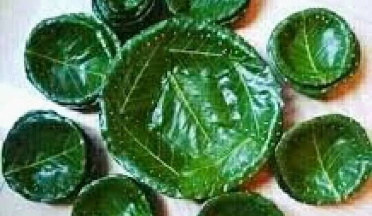 हराउँदै दुना टपरी,संघले थाल्यो संरक्षणको प्रयास महोत्सव स्थलमा प्लास्टिक पूर्ण रूपमा बन्देज