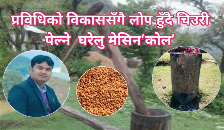 चिउरी पेल्ने परम्परागत घरेलु मेसिन ‘कोल’लोप हुँदै