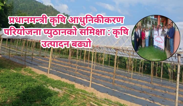 प्रधानमन्त्री कृषि आधुनिकीकरण परियोजना प्युठानको समिक्षा : जिल्लामा कृषि उत्पादन बढ्यो