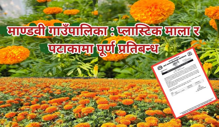 माण्डवी गाउँपालिका : प्लास्टिक माला र पटाकामा पूर्ण प्रतिबन्ध
