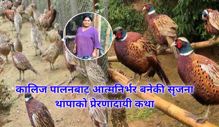 कालिज पालनबाट आत्मनिर्भर बनेकी सृजना थापाको प्रेरणादायी कथा