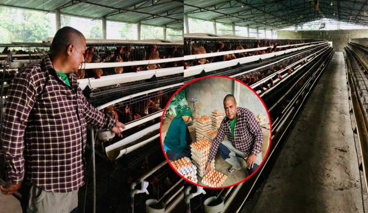 दैनिक ९ हजार अण्डा उत्पादन : नमुना पोल्ट्री फार्मका उद्यमी अधिकारीको सफलता 