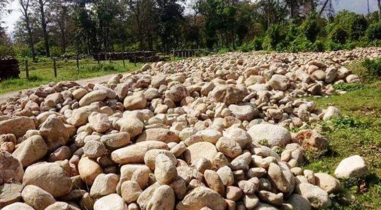 बुद्धभुमीमा अबैध काठ तथा ढुङगा निकासी