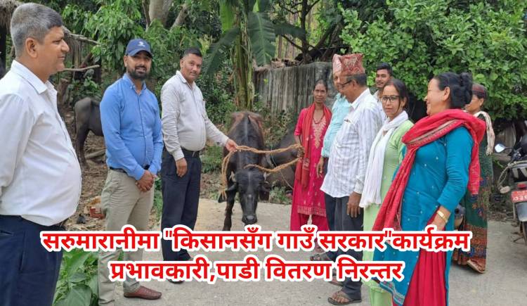 सरुमारानीमा"किसानसँग गाउँ सरकार"कार्यक्रम प्रभावकारी,पाडी वितरण निरन्तर