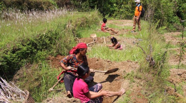 वषौंदेखि बाँझिएका जमिनमा खेती गर्न सुरु(फोटो फिचर)