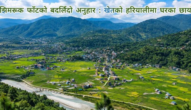 झिमरुक फाँटको बदलिँदो अनुहार : खेतको हरियालीमा घरका छायाँ