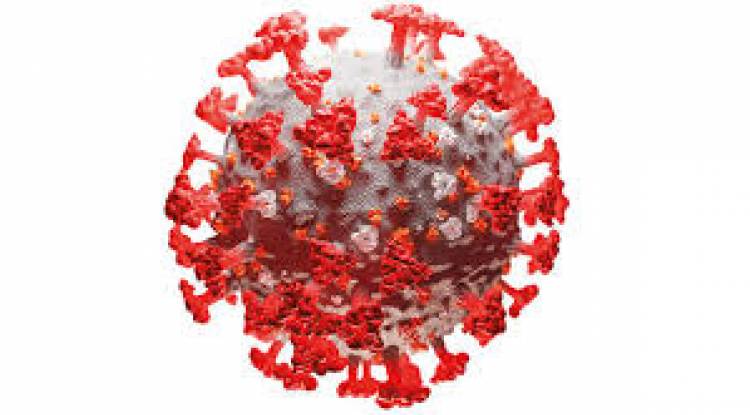 किस्ट अस्पतालमा भर्ना भएकी गर्भवतीसहित चार जनामा देखियो कोरोना