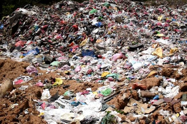 घोराही उपमहानगरपालिकाले फालिएका प्लाष्टिक किन्ने 