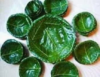 हराउँदै दुना टपरी,संघले थाल्यो संरक्षणको प्रयास महोत्सव स्थलमा प्लास्टिक पूर्ण रूपमा बन्देज