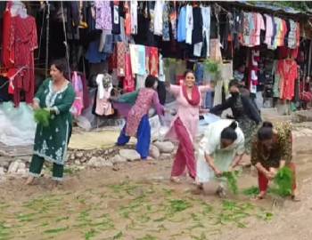 हिलाम्मे सडकको विरोध स्वरुप बाग्दुलामा स्थानीयले रोपे सडकमै धान