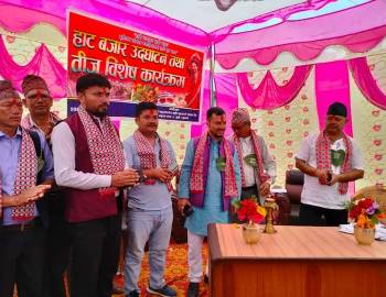 अब किसानको उत्पादन,नागबेली सहकारीमार्फत  बजारीकरण