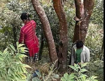 प्युठानमा आमा-छोराको रहस्यमय मृत्युु 