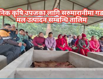 अर्गानिक कृषि उपजका लागि सरुमारानीमा गड्यौला मल उत्पादन सम्बन्धि तालिम