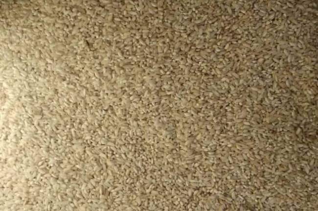 कोरोना कहर, वडा सदस्यको ठगिधन्दा