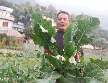 कृषकको गुनासो : उत्पादन बढ्यो बजारीकरण भएन