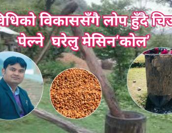 चिउरी पेल्ने परम्परागत घरेलु मेसिन ‘कोल’लोप हुँदै