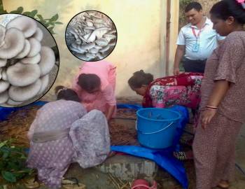 जस्पुरका महिलाहरूलाई च्याउ उत्पादन सम्बन्धि पुर्नताजगी तालिम