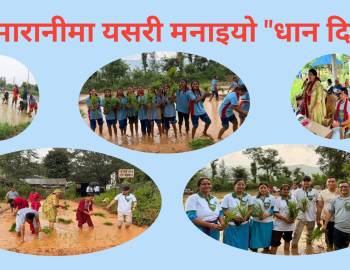 सरुमारानीमा यसरी मनाइयो धान दिवस (तस्बिरहरु)