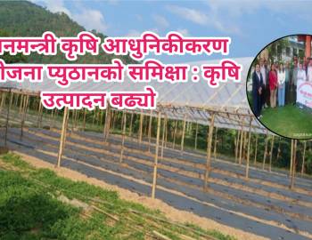 प्रधानमन्त्री कृषि आधुनिकीकरण परियोजना प्युठानको समिक्षा : जिल्लामा कृषि उत्पादन बढ्यो