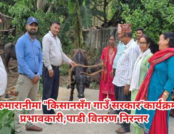 सरुमारानीमा"किसानसँग गाउँ सरकार"कार्यक्रम प्रभावकारी,पाडी वितरण निरन्तर