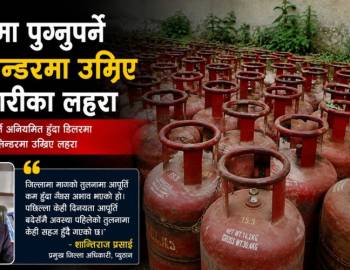 चुलोमा पुग्नुपर्ने सिलिन्डरमा उम्रिए तरकारीका लहरा