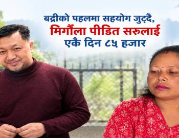 बद्रीको पहलमा सहयोग जुट्दै,मिर्गौला पीडित सरुलाई एकै दिन ८५ हजार