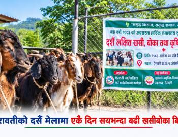 ऐरावतीको दसैँ मेलामा एकै दिन सयभन्दा बढी खसीबोका बिक्री