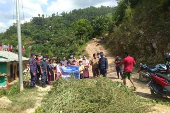 प्युठानमा स्थानीय र प्रहरीको सक्रियतामा गाँजा फँडानी